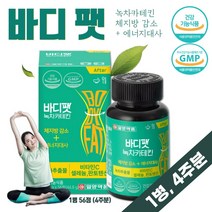 식약처 인증 녹차 다이어트 체지방 감소 에너지 대사 1통 약 4주분 건강 기능 식품 남성 여성 중년 남자 여자 직장인 주부 학생 고시생 20대 30대 40대 50대 60대, 1개