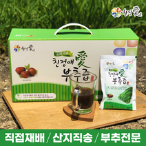 친정애부추즙 (본사몰) 2박스 구매시 1박스 증정배송 높은부추함량 안전식약처haccp인증, 부추즙오리지날(부추+대추)