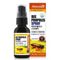 항산화작용 비프로폴리스 스프레이30ml 플라보노이드