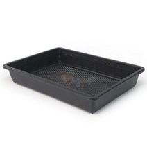 삽목상자 대, 1개