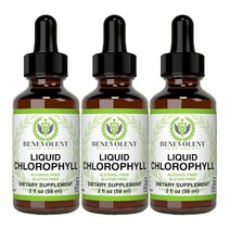 2+1 베네볼런트 Benevolent 리퀴드 엽록소 클로로필 액상 59ml Liquid Chlorophyll, 1개, 기본