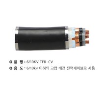 WM TFR-CV 6.10KV 35SQ * 3C(고압) 절단조장 WM, 상세페이지 참조