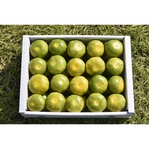 제주 하우스감귤 유라실생 선물용특상품 3kg 5kg, 1box, 선물용5kg