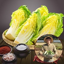 [참다올] [예약배송] [전라도광주김치] 절임배추20kg (7-8포기), 발송일 선택:12월06일 발송_12월07일(화)도착예정