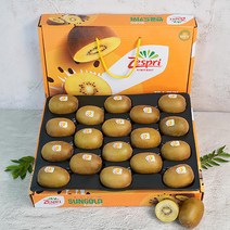 뉴질랜드 제스프리 골드키위 선물세트 왕점보 점보 31kg 1박스, 골드키위 선물세트-점보(20과)