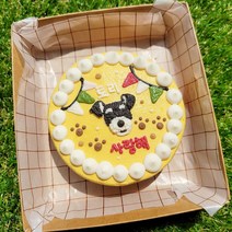 바르다펫 강아지케이크 구겔호프 생일파티세트, 단연코 케이크+생일초