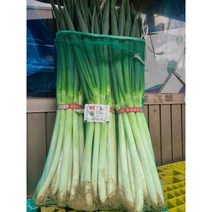 #가락시장 나물이네#당일경매 대파 1kg~1.4kg/오후2시이전주문당일출고99%/주말 공휴일제외, 1.5kg, 1개
