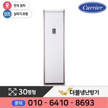 캐리어 스탠드형 인버터 냉난방기 30평형 실외기포함 CPV-Q1101P, 30평형 : CPV-Q1101P