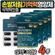손끝 발끝 손발 저림 뇌기능 눈침침 뇌영양제 오메가 3 눈이침침 눈뻑뻑 기억력 에좋은 알티지 RTG 추천 LDL HDL 혈행 개선 필수지방산 중성지방 학생 임산부 노인 식약처인증