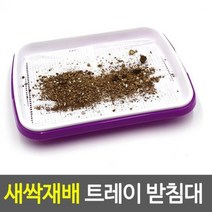 모비딕파워 [모비딕파워] 관찰학습 실험세트 자연학습 식물관찰 콩나물키우기세트 새싹채소기르기, 아★ 새싹재배 트레이 재배기 1개-색상랜덤발송 새싹재배, [좋습니다]