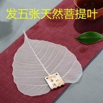 천연보리수 보리잎 나뭇잎거름망 세트 티망 차막 차거름망 녹차망, 5장