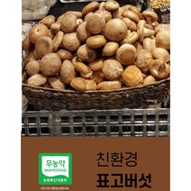 생표고버섯 동고 중품 (가정용) 추천, 1개, 4kg
