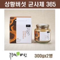 국내산 상황버섯 가루 분말 목질진흙버섯 균사체 베타글루칸 린테우스 추출물 원액 액기스 뽕나무 찔레 참나무 상황버섯차 약용버섯 효능, 2병, 300g