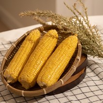 초당옥수수, 초당옥수수 상품 10cm내외 10개입