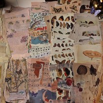 고전 빈티지 배경지 떡메 다꾸 랩핑지 페이퍼 떡메모지, 2.동화악보 (ME-807)