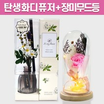 탄생화 디퓨저 선물세트 3월 탄생화 데이지 + 장미 무드등 남자친구 여자친구 남사친 여사친 언니 선생님 직장동료 생일선물 집들이선물 실내 디퓨저 실내방향제 디퓨저, 화이트머스크, 핑크, 300ml