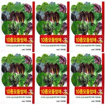 10종모듬쌈채 씨앗 6개입, 1개