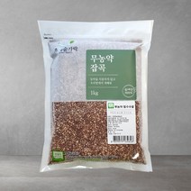 초록숟가락 무농약 찰수수쌀 1kg, 1포