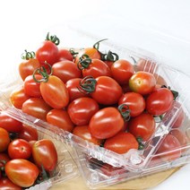 (더조은푸드) 정직한 국내산 스테비아 방울토마토 500g, 스테비아 방울토마토 500g x 4팩