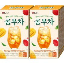담터 콤부차 망고리치 10T+10T