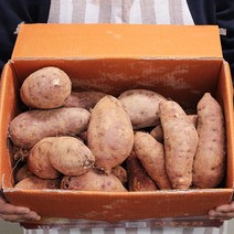 고구마직거래 고구마 꿀고구마 3kg 5kg, 꿀고구마 상품 3kg, 1개