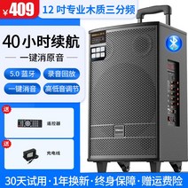 버스킹 앰프 휴대용 이동식 스피커 광장 야외 행사용 무대, 12인치