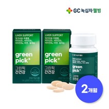 GC녹십자웰빙 그린픽 간건강 밀크씨슬 800mg x 30정 x 2박스(2개월)