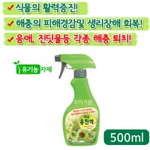 [조이가든] 응진싹- 500ml, 1개