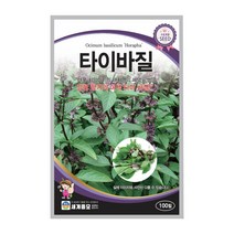 스위트 타이 바질 와일드루꼴라 씨앗, 타이바질