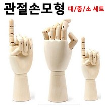일음쇼핑^^*m디자인에버 관절손모형 세트 인테리어용형 원목형 학습용형 미술용형 보조도구 모형 형세트 목각형 화방용형일medi^*^