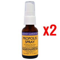 허니가든 프로폴리스 스프레이, 30ml, 2개