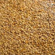 B의식탁 볶은 참깨 볶음 1kg 국산 수입 들기름 깨소금 참기름 검은깨 들깨 효능 가루, 1, 본상품선택