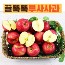 [2022햇사과] 산지애 씻어나온 꿀사과 3kg 2box (대과) 미시마 당도선별, 단품