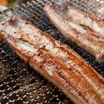 하르방마켓 최상급 자연산 손질 통영 바다 장어 제철 구이 1kg 2kg 3kg 통발 포장 구이용 대 특대, 2kg(대), 1개