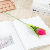 시뮬레이션 튤립 꽃다발 여러 색상 울금향, 로즈 레드