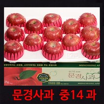 [경북문경사과] 먹기 좋은 크기의 아삭하고 새콤 달콤한 가정용 실속포장 2kg~10kg, 1박스, (중14과)5.5kg 내외(박스포함)