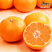 보섭이네푸드 [보섭이네푸드]가락시장 직송 제주효돈감귤 5kg(47~60입내/M), 1