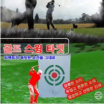 GOJ383721스윙타겟B형 스윙타켓 골프스윙타겟 골프용품 대형사, 1개