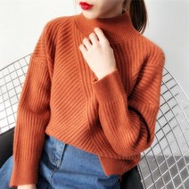 리앤킴 여성 목폴라 니트티 ST466