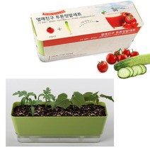플랜터 세트 방울토마토키우기 오이 씨앗 채소키우기 홈가드닝키트 식물키우기세트 베란다텃밭 실내텃밭 베란다텃밭가꾸기 집에서채소키우기 미니텃밭 아파트베란다텃밭 배란다텃밭 상자텃밭 토마토키우기 텃밭화분