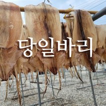 선동 마른 오징어 건오징어 5-20마리 다양한 크기, 마른오징어, 당일바리 마른오징어 중 5마리 (375g)