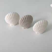 스몰 조개 3D 수제몰드