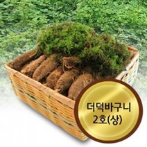 YL668 고씨네농장 더덕바구니2호상 도라지 야생더덕 더덕 가성비, 상세페이지 참조