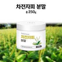 차전자피가루 - 화이트토마토 분말 귀리껍질가루 유기농새싹보리 뉴트리밀 [250g], 차전자피 분말 250g