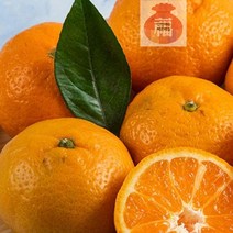 청_타이벡_귤_만들기_조생_특급_2kg_노지_제주도_영화청과 92BA 안전배송, 상세페이지 참조