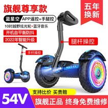 호버보드 10inch 팔걸이 킥보드 투휠보드 전동휠, C01-36V, T17-54V플래그 존귀판