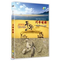 [DVD] OBS 특집 다큐멘터리 : 기후변화 - 모래의 미소 풀등(1DISC)