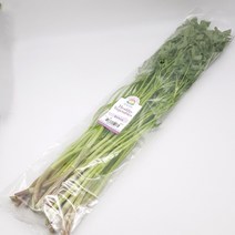 의령농산 건강채소 간편야채 청도 미나리 200g