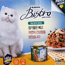 뉴트리나 비스트로 애묘용 캔사료 160GX24캔