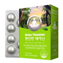 네추럴라이즈 편안한 테아닌 30정, 1개